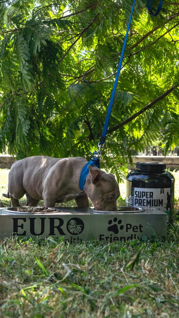 euro-animal-pet