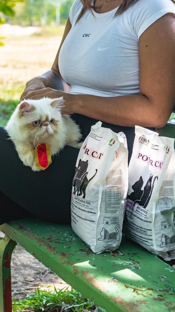 euro-cat