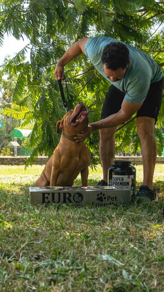 euro-dog